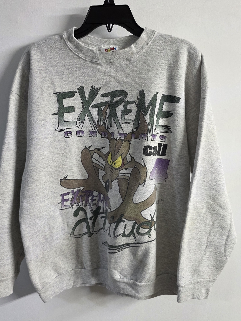 1995 Warner Bros. Light Gray Crewneck Sweater with Cartoon Road-Runner Graphic